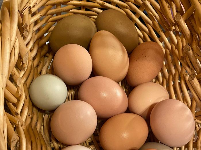 Basket of brown, white and green eggs from Fool For You Farm
